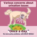 Dr.by Rinichi renali Bladder Urethra Supliment nutritional pentru câini și cățeluș - dulce cartofi aroma de câine Supliment pentru câine UTI, 30 Conte individuale ambalate (Pachet de 1)