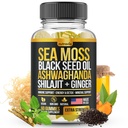 Sea Moss, Black Seed Oil, Ashwagandha, Ginger, Shilajit Gummies cu Elderberry, Clorofill, Turmeric Bladderwack Sea Moss Gummies Formula de rezistență avansată - Toate în 1 Bundle - Statele Unite ale Americii Made (60 Gummies)