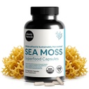 Atlantic Naturals Sea Moss Capsule cu Moringa, Ashwagandha, Black Seed Oil, Ginger & Ginseng 