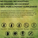 Herbadiet Bambus Extract de pulbere 
