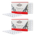 Altai Shilaj 120 Tablets Mountain Balsam Label - Original Altai Siberian 100% Pure Acid fuzelian și Trace Minerale