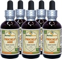Prickly Ash (Zantoxilum Clava-herculis) Tinctură, Extract lichid de bark uscat (Brand Name: HerbalTerra, Proudly Made in USA) 5x2 fl.oz (5x60 ml)