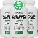 Cordyceps Cordyceps Marshroom (3 Pack) 1000 MG - Performanță sportivă, Rezistență și imunitate Suplimentul capsulei Adaptogen - 180 de zile de aprovizionare - Anti-Aging Support Antioxidant