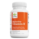 Terry Natural BioActive Vitamina B - Ajutor de inima sanatatea cu vitamine B bioactive - Supliment cu Folate & Calciu - B Complex Vitamina pentru a ajuta functia sistemului nervos - 60 capsule