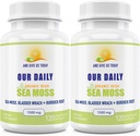 Capsulele noastre Daily Vites Sea Moss 1500mg (2 ambalaj) - Wildcrafted Irish Sea Moss Bladderwrack și Braddock Root Superfood Blend - Sistemul imunitar, Gut Health & Suport tiroidian - 240 Capsule vegetariene