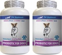 Dog Gut Restaurare - PROBIOTICS pentru câini - Sanatos Gut - Opreste diareea gazelor si respiratie proasta - Boost digestiv - enzime probiotice câine - 2 sticle (120 tratează)