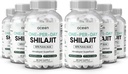 Organics Ocean One-Per-Day Shilajit pentru bărbați și femei - Natural și Pottent Shilaj Supliment pentru Age-Deficitare, Oase Putere, Hormoni Support și mai mult - 6 Sticle Capsule Shilajit