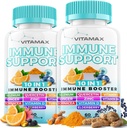 10-in-1 Immune Support with Elderberry, D3, Selenium, Querbetin, Zinc, Vitamina C, Ginger, Curcumin Turmeric, B6, Echinacea 
