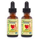 COPILDIFE ESENȚIALE Echinacea pentru copii - Copii Echinacea picături, Tinctură lichidă, Supliment fără alcool pentru copii, Copii mici, Copii - Orange naturale, 1 Fl Oz (Pachet de 2)