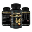 Gallobiotic Natural Multivitamine pentru Rooster, Hens - 100 comprimate 