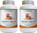 Dog Bladder Support - Formula de sanatate urinara Dog - Ajuta cu probleme de incontinenta si vezica oculara - Immun Boost - Câine Cranberry Suplimentul mesteca - 2 sticle (180 tratează)