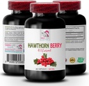 supliment de fructe de padure - HAWTHORN BERries EXTRACT - supliment antioxidant pentru femei, fructe de padure antioxidante, amestec de afine antioxidante, antioxidant de padure, energie hawthorn de fructe salbatice 1Bot 60Caps