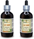 Lu Gen, Reed (Fragmites Communication) Tincture, extract lichid uscat (Brand Name: HerbalTerra, Proudly Made in USA) 2x4 fl.oz (2x120 ml)