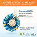 REVGENETICI Supliment avansat NAD+, 60 capsule - Supliment alimentar pentru imbatranire sanatoasa si longevitate