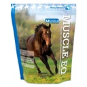 Muscle EQTM Powder 