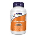 ACUM alimente Suplimente, L-Carnosine (Beta-Alanil-L-Histidină) 500 mg, îmbătrânire sănătoasă, 100 Veg capsule