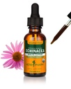 Herb Pharm Organic Echinacea Root Extract, Alcool-Free: Sistem imunitar Suport pentru toate anotimpurile, Rapid-Action Echinacea Plant Supliment, Non-GMO, Vegan & Gluten-Free, 1 Oz