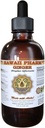 Hawaii Pharm Ginger Extract lichid, Ginger organic (Zingiber officinale) Tincture Supliment 2 oz