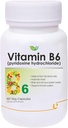 Nutranix BHM Vitamina B6 (Pyridoxine clorhidrat) Supliment 60 Capsule de legume