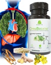 OMNIBRREATHE - Îmbunătăţirea rapidă a problemelor de respiraţie de NAC 600MG Formulat ştiinţific w. Querbetin/Mullein/Coq 10/Ginger/Stinging Nettle/Bromelain,3 Times w. Masă (10-Day Supply to Boost)