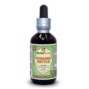 Herbal Terra LLC Stinging Nettle (Urtica Dioica) Glicerit, Frunze uscate organice Extract lichid fără alcool 2 oz
