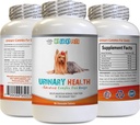 Caine Incontinenta urinara - Formula de sanatate urinara caine - ajuta cu probleme de incontinenta si vezica urinara - Boost imunitar - Capsule de matase de porumb pentru câini - 1 flacon (90 tratează)
