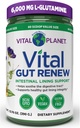 Planeta Vital - Vital Gut Renew Powder Supplement for Leaky Gut Repair with L-Glutamine, Marshmallow and Ginger Root, DGL Licorice Root and Organic Aloe Vera, L Glutamina 6000mg 13,76 oz