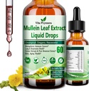 Mullein picături pentru plămâni, Organic Mullein Extract de frunze pentru Lung Detox w. Clorofill Elderberry Oregano ulei Resveratrol Mullein Tincture Alcool gratuit, Flavor original, 2 f Fl/Oz