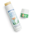 Badger Bug Bite Itch Relief Stick, Natural & Organic Anti Itch Cream pentru Bug Bites, Rashes & Poison Ivy, Rapid Mâncărime Skin Relief După Muşcătură, Funcționează mare, Miroase mare, Ușor de utilizat, .6 oz
