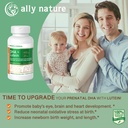 Vegan prenatal DHA 440mg 