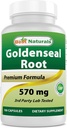 Cele mai bune Naturale Goldenseal Root 570 mg (non-GMO) 100 capsule