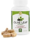 Extract de frunze de măsline - 500 mg - Supliment Standardizat la 25% Oleuropeină - 20% Hidroxitirozol - 40% Polifenoli - non-GMO + gluten gratuit + lactate gratuit + soia gratuit + Vegan (30 capsule)
