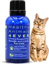 HA4E - Cat UTI Remedy - Suport renal natural pentru pisici - Suporturi Bladder & Sănătate urinară - Curățare renală - Non-GMO, Organic, Chemical-Free - 300 Comprimate