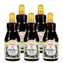 Distribuitor oficial - 5 Sticle de Apiario Silvestre Brazilian Green Bee Propolis lichid Extract de glicolic-nealcoolic, Wax gratuit, Sugar Free (PG)