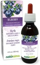 Naturalma Bilberry or European Blueberry (Vaccinium myrtillus) Fruit Alcohol-Free Tincture - 4 fl oz Liquid Extract in Drops - Herbal Supplement - Vegan