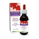 Naturalma Red Grapevine (Vitis vinifera) Tenctura fără alcool frunze - 4 fl oz Extract lichid în picături - Supliment vegetal - Vegan