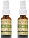 Honey Gardens Bee Propolis Ghroat Spray 