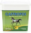 TRM Gastrofos Hrană pentru cai Supliment digestiv pentru Ulcer Acid Reflux Prevenire şi Digestia Sanatos 