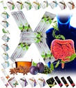 All Natural Detox Cleanse Instant Tea Mix Prune & Plum w. Fiber & Inulin for Optimal Intestinal Transit by FuXion Prunex 1 (10 Sachete)