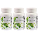 Super-absorbţie crăpată Astragalozidă IV 98% Suplimente anti-aging pentru susţinerea imună a adulţilor 50mg/Cap 90 Capace în 3 Flacon