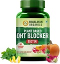 DHT generic pe bază de instalație Blocer cu bunatatea frunzelor de Nettle 