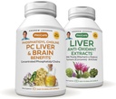 ANDREW LESSMAN PC Beneficii pentru ficat și creier + Kit pentru extracte de ficat anti-oxidante: 300 capsule (180+120) - Fosfatidil Choline, Milk Thistle, Anghike, Curcumin.