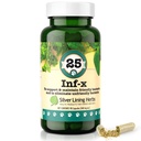 Silver Lining Herbs 25 Canine INF-X - Ajuta la mentinerea nivelului sanatos de digestia - Suport natural pentru procesul normal de detoxifiere - Suplimentul de sanatate pentru câini - 90 capsule