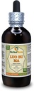 Luo Bu Ma, Dogbane (Apocynum Venetum) Tincture, Extract de lichid din frunze uscate (Brand Name: HerbalTerra, Proudly Made in USA) 4 fl.oz (120 ml)