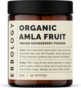100% Organic Amla Powder 3.2 oz - 45 Serviri - Indian Gooseberry - Suport pentru imunitate - Piele și regenerarea părului - Bogat în vitamina C - Direct de la ferma din India - Raw, Vegan și gluten-Free