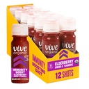 Vive Organic Immune Support Elderberry Shot, Rece-Pressed Turmeric & Ginger, Gluten Free, Vegan, Imunitate Boost Elderberry, 2 Fl Oz (Pachet de 12)