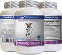 Enzime digestive Dog Powder - PROBIOTICS pentru câini - Gut sănătos - Stop Diareea gazelor și respirație proastă - Boost digestiv - probiotice pentru câini - 1 flacon (60 de tratamente)