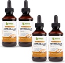 Extract de rădăcină Maxx Herb Astragalus - Absorbții de tinctură lichid cu rezistență maximă mai bune decât capsulele sau pulberea, pentru suport imun și claritatea mintală - 4 sticle, 4 Oz Each (240 Servings)