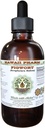 Figwort Extract lichid fără alcool, Figwort organic (Scrophulara Nodosa) Herb Glicerite Hawaii Pharm Supliment natural Herbal 2 oz