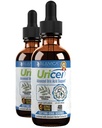 Uritel - Advanced Uric Acid Supplement & Curatare - Livrare lichid pentru o mai buna absorbtie - Tarta Cherry, Chanca Piedra, Seminte de telina, Turmeric & More!